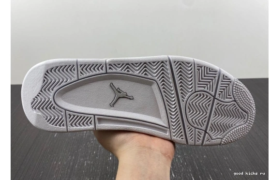  Retro Jordan  819139-030 4  Snakeskin 819139-030 0227